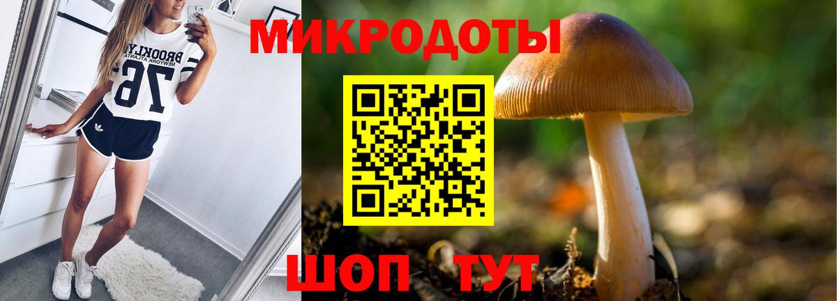 Галлюциногенные грибы Psilocybe  Вход с VPN  Каменск-Шахтинский 